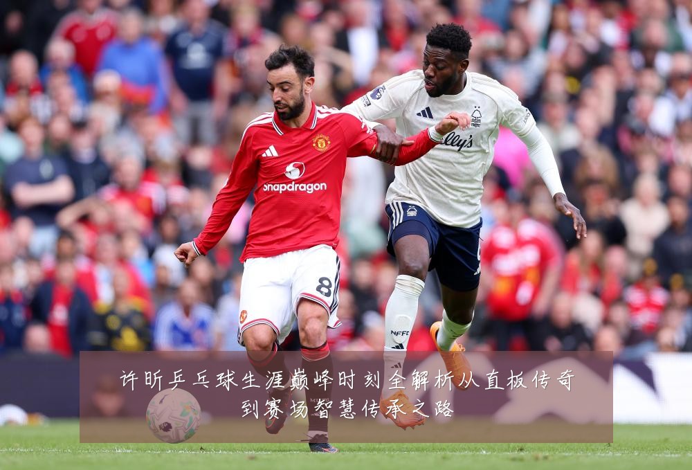 许昕乒乓球生涯巅峰时刻全解析从直板传奇到赛场智慧传承之路